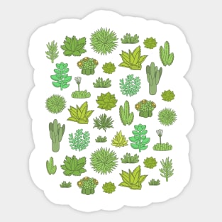 Succulents Sticker